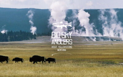 Poetry from the Water