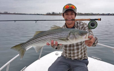 We Fish Everywhere Vol. 1 – NYC Stripers