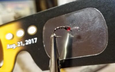 The Total Eclipse Chironomid
