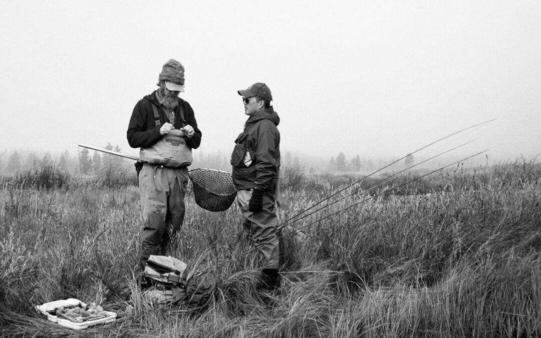 Snowy cold, watching silver turn to gold