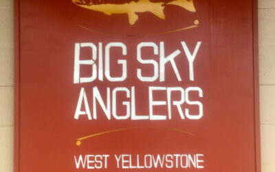 What’s In A Name, Anyway?