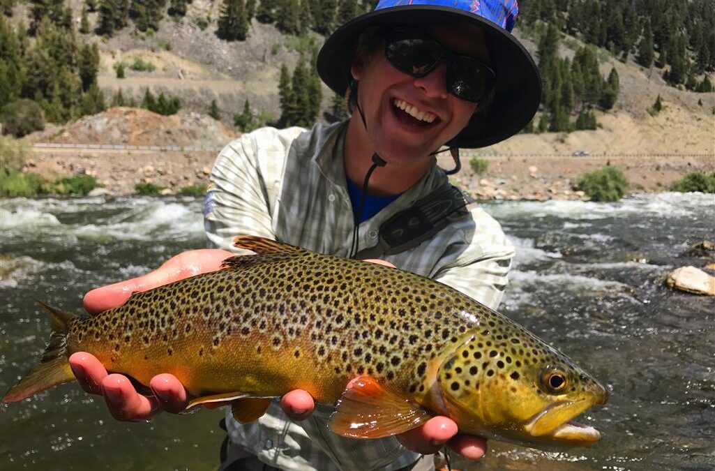 A Summer in South-West Montana (And Idaho, Wyoming and Yellowstone…)