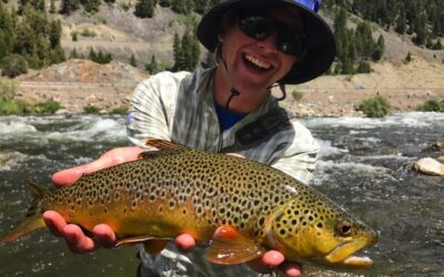 A Summer in South-West Montana (And Idaho, Wyoming and Yellowstone…)