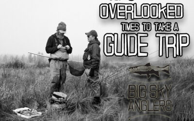 Top 3 Overlooked Times to Take a Guide Trip in Yellowstone Country