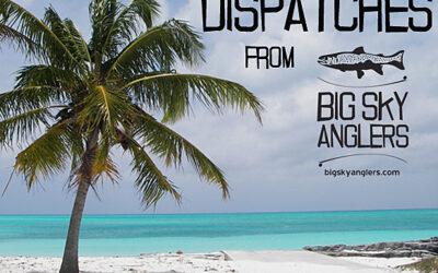 Dispatches Vol. 2 – Fly Fishing for Permit in Belize with Joe Moore