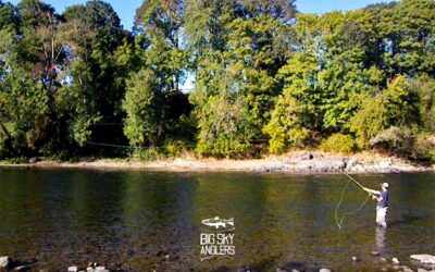 Reach Spey Casts – Aerial Mending with 2 Handed Rods