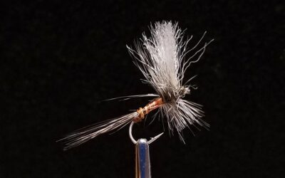 Big Sky Anglers Featured Fly – JoJo’s Gray Drake