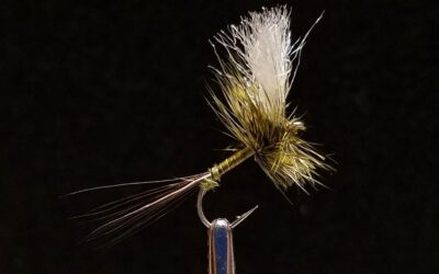 Big Sky Anglers Featured Fly – JoJo’s Green Drake