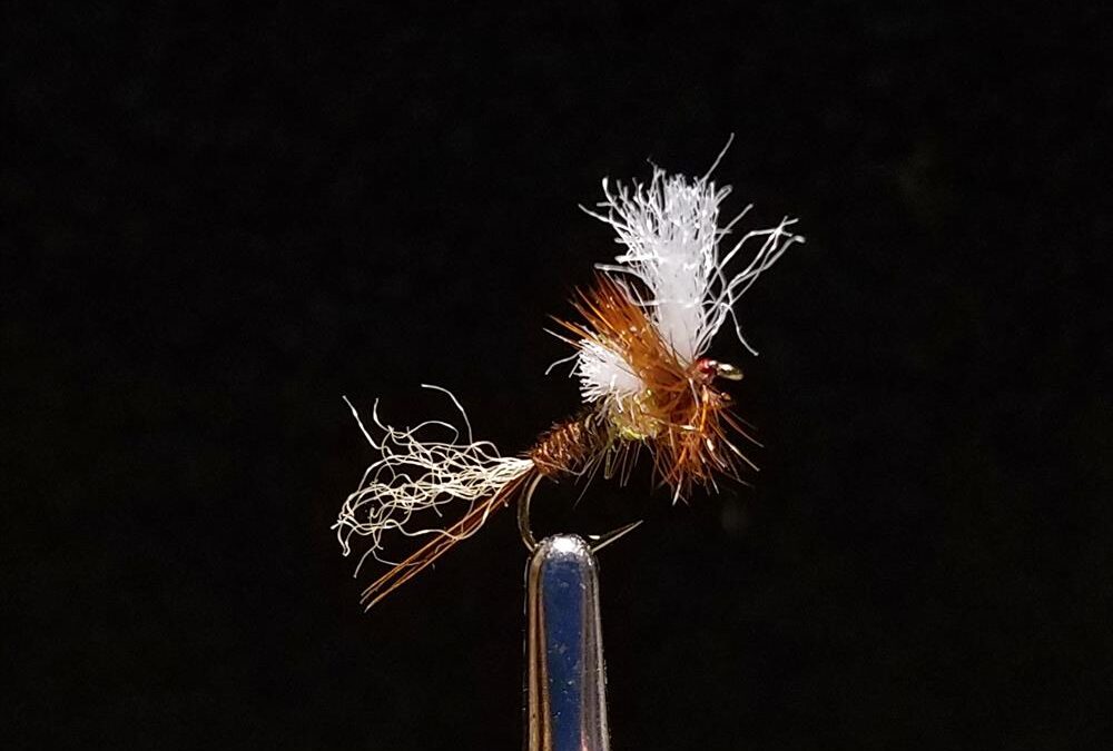 Big Sky Anglers Featured Fly – JoJo’s Riffle Riser