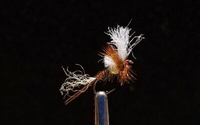 Big Sky Anglers Featured Fly – JoJo’s Riffle Riser
