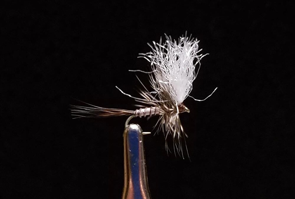 Big Sky Anglers Featured Fly – JoJo’s Callibaetis Cripple