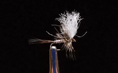 Big Sky Anglers Featured Fly – JoJo’s Callibaetis Cripple
