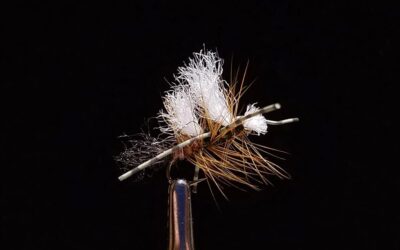 Big Sky Anglers Featured Fly – JoJo’s Chubbinator