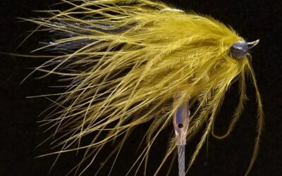 Big Sky Anglers Featured Fly – The Best Fly Ever (BFE)