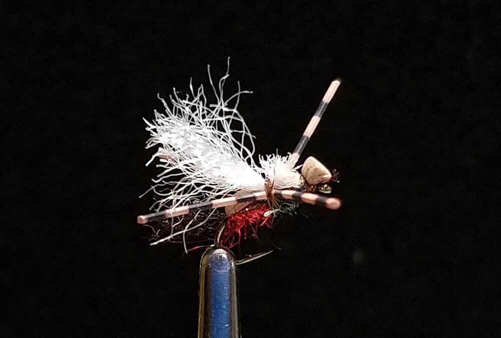 Big Sky Anglers Featured Fly – JoJo’s Ant, Royal