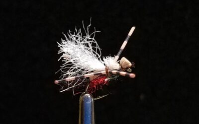 Big Sky Anglers Featured Fly – JoJo’s Ant, Royal