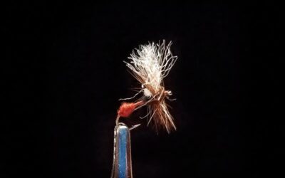 Big Sky Anglers Featured Fly – Hoovie’s Crippled Ant