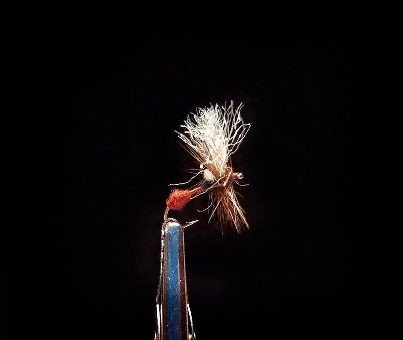 Big Sky Anglers Featured Fly – Hoovie’s Crippled Ant