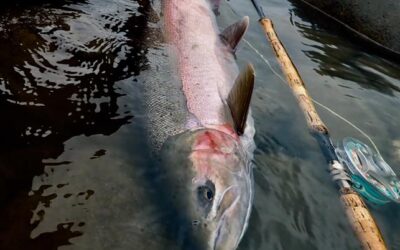 Sustut River, BC – Steelhead Valhalla Lodge