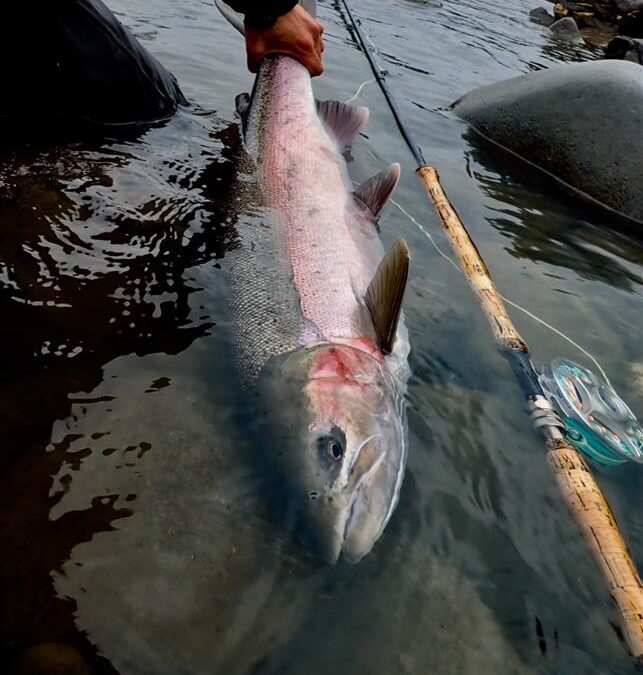 Sustut River, BC – Steelhead Valhalla Lodge