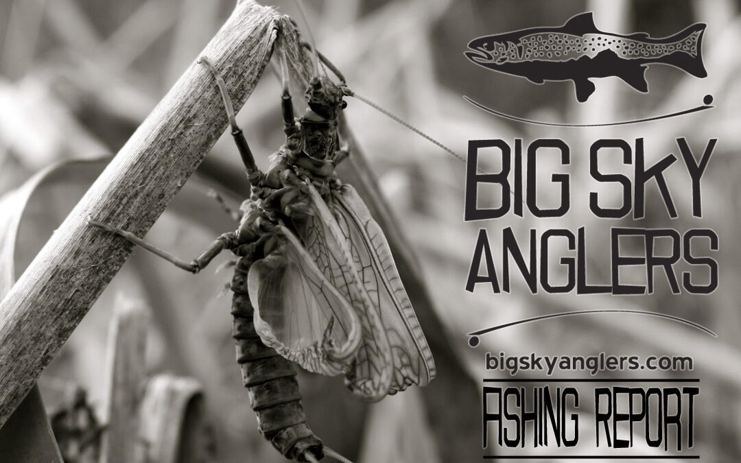 Big Sky Anglers Weekly Fishing Report – May 24, 2018