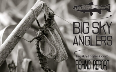 Big Sky Anglers Weekly Fishing Report – May 24, 2018