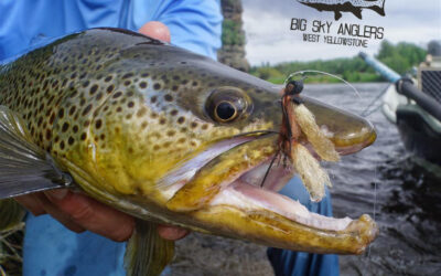 Big Sky Anglers Weekly Fishing Report – June 7, 2018