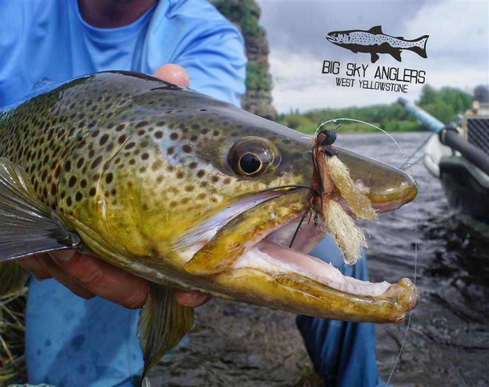 06072018 Fishing Report