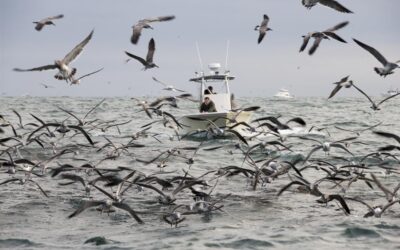 Running the Coast – An Evening with Jamie Howard and Capt. Arthur Cortes