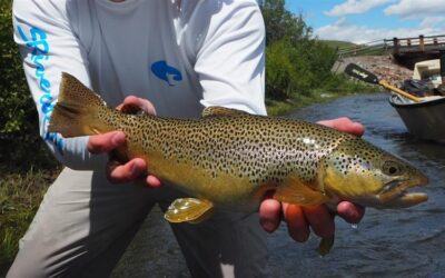 All About the Eat: A Day On the Water with the BSA Crew
