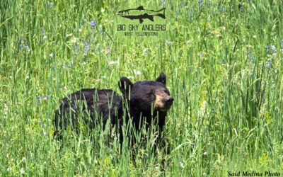 Big Sky Anglers Weekly Fishing Report – 07/26/2018