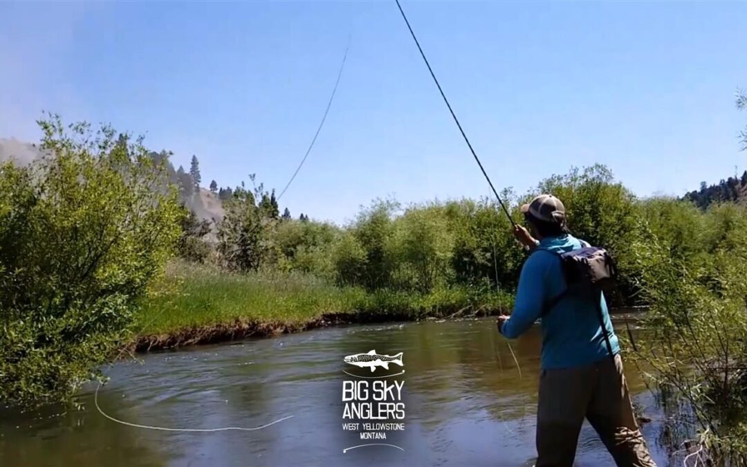 Casting in the Stream of Consciousness:  Small Stream Single Hand Spey