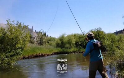 Casting in the Stream of Consciousness: Small Stream Single Hand Spey