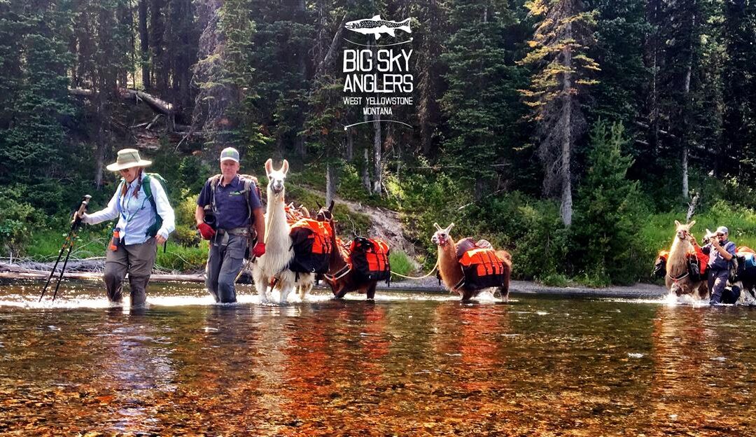 Big Sky Anglers Weekly Fishing Report – 08/23/2018