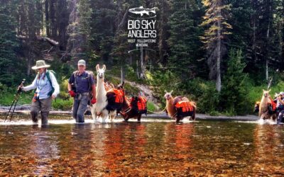 Big Sky Anglers Weekly Fishing Report – 08/23/2018