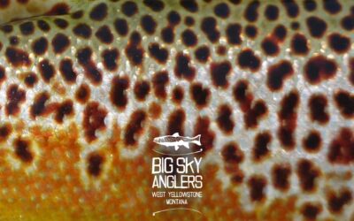 Big Sky Anglers Weekly Fishing Report – 09/27/2018