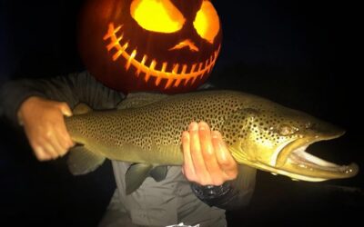 Big Sky Anglers Weekly Fishing Report – 11/1/2018 – Our Final Weekly Report of the Season