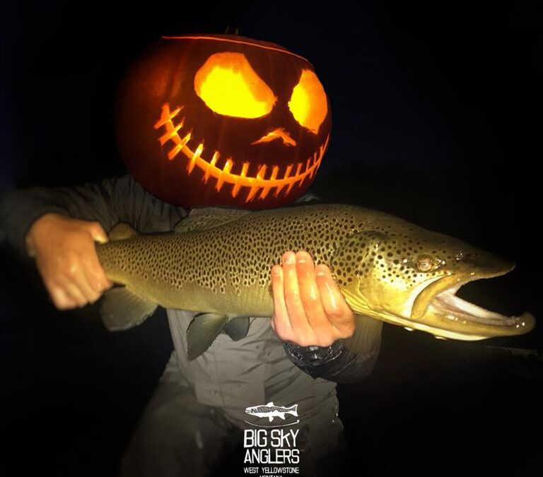 Big Sky Anglers Weekly Fishing Report – 11/1/2018 – Our Final Weekly Report of the Season