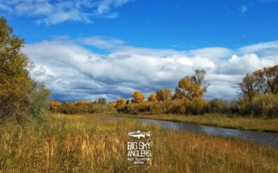 Big Sky Anglers Weekly Fishing Report – 10/11/2018