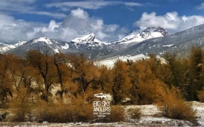 Big Sky Anglers Weekly Fishing Report – 10/18/2018