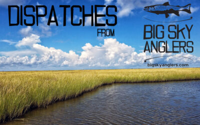 Dispatches Volume 4 – Fly Fishing the Marsh in New Orleans, Louisiana with Matt Klara