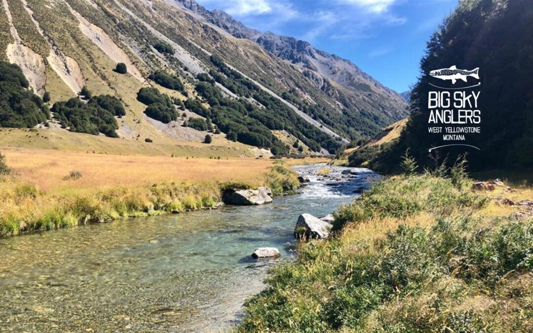 South Island New Zealand Trip Report