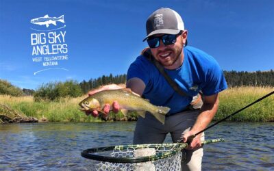 Return to the Beginning