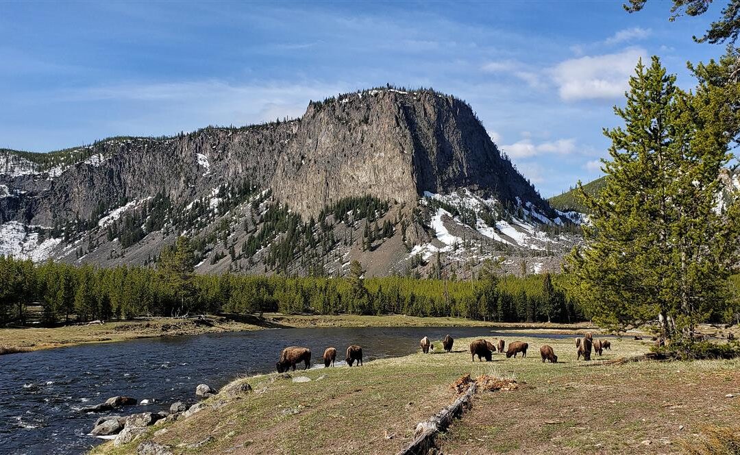 Big Sky Anglers Weekly Fishing Report – May 23, 2019