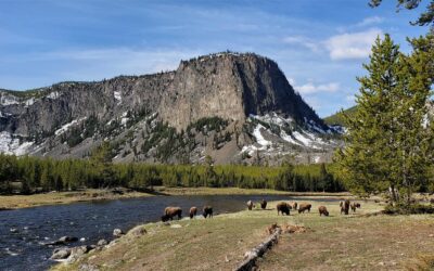 Big Sky Anglers Weekly Fishing Report – May 23, 2019