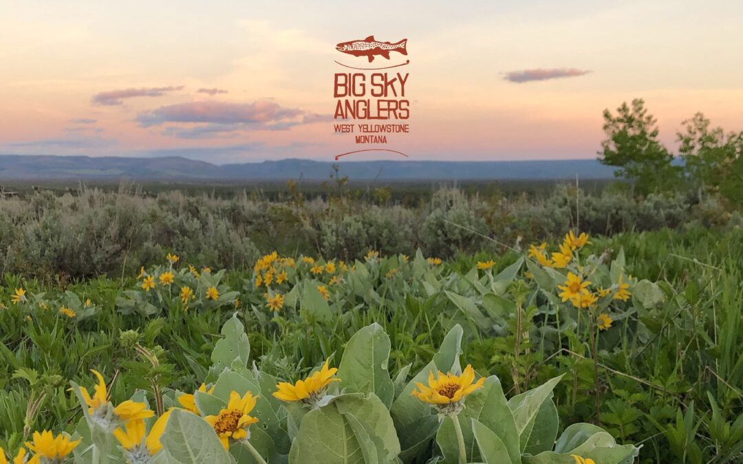 Big Sky Anglers Weekly Fishing Report – June 13, 2019