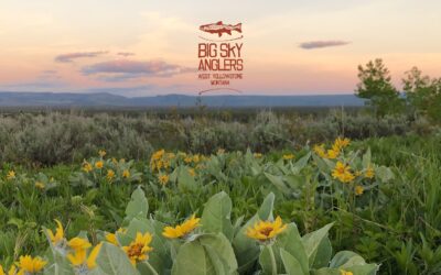 Big Sky Anglers Weekly Fishing Report – June 13, 2019