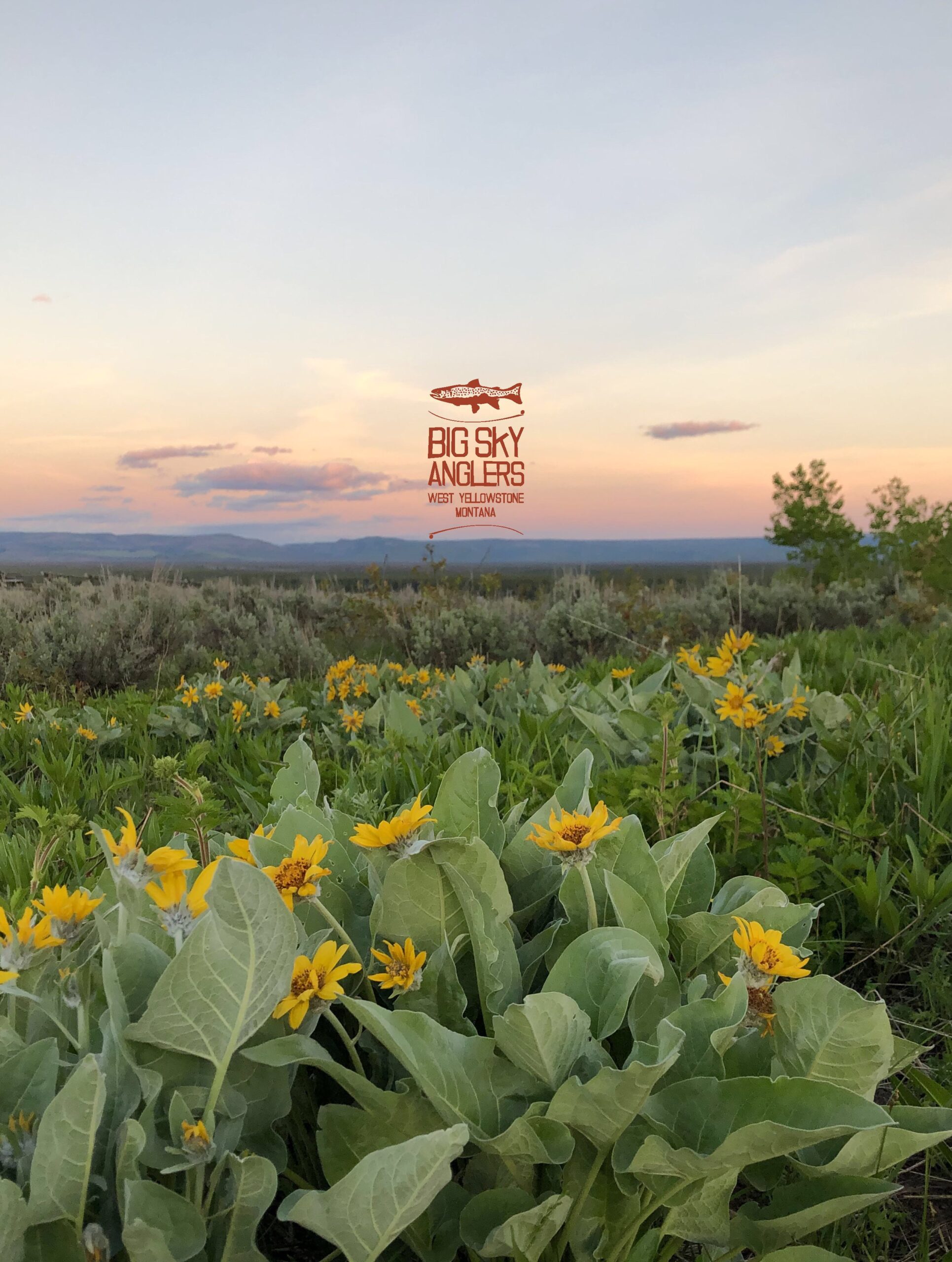 8D3FB152-D28C-48E3-B697-77AF0186B6DA