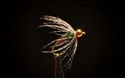 Big Sky Anglers Featured Fly – BH Soft Hackle Pheasant Tail
