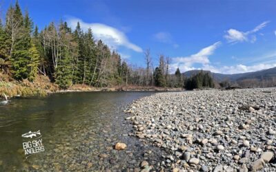 Finding the Rhythm in the Motherland of Steelhead